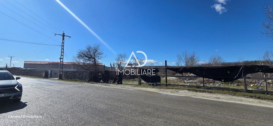 Teren Intravilan de vânzare 12.771 mp – zonă industrială Bârsești - 5