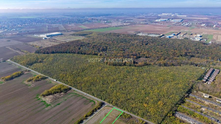Dragomiresti Deal teren 6700 mp, padurea Ileana, utilitati, asfalt - 5