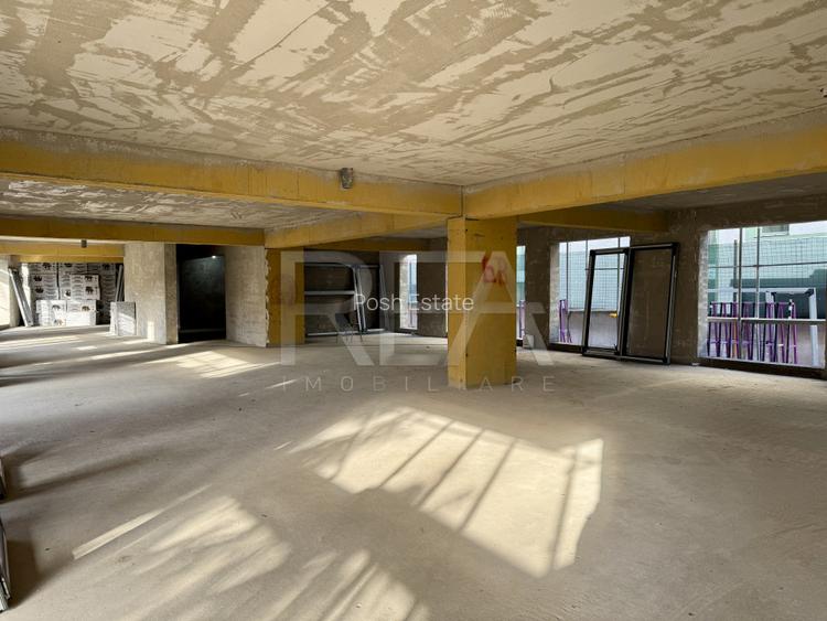 Spatiu Comercial 430 mp Ultracentral - Tepeș Vodă 152 - 3