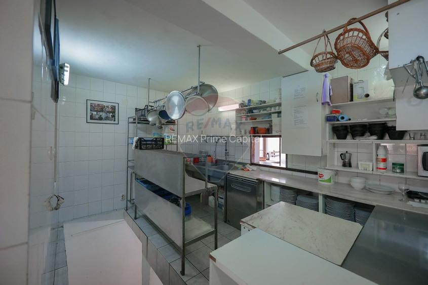 Oportunitate de investiție, Restaurantul Piatra Grăitoare,Vârtop,Bihor - 27