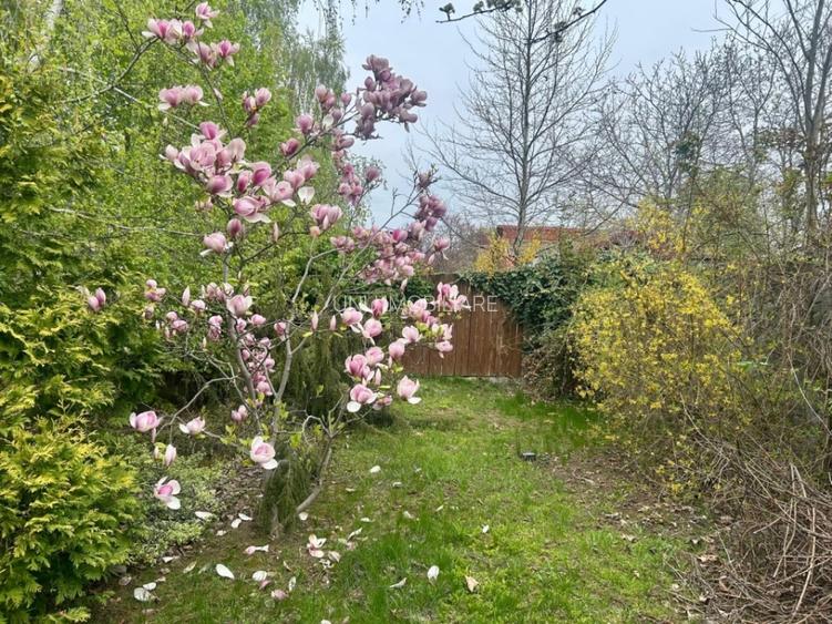 Vilă în Bârnova 260 mp utili, teren 1030 mp D+P+E+M, complet mobilată și LIBERA - 7