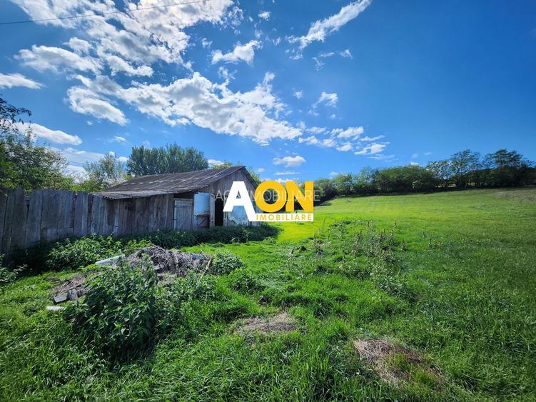 De vanzare 2965 mp teren intravilan, toate utilitatile, Oarda de Sus - 8