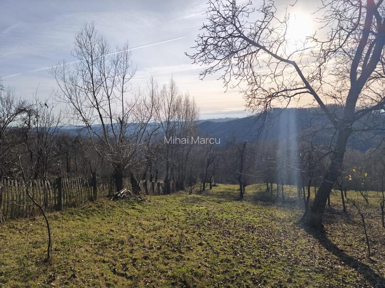 Teren intravilan Breaza 4,000mp utilitati. Panorama superba. Parcelabil - 11