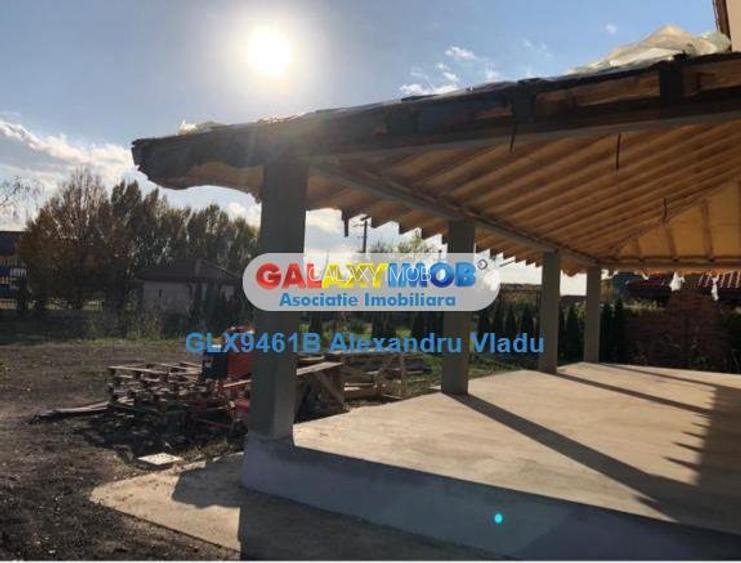 Vila  individuala cu garaj,Curtea Domneasca -Domnesti - 15