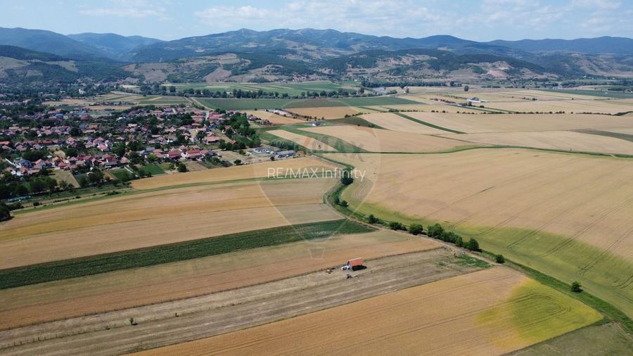 Teren industrial 5.000 mp Vintu de Jos – amplasament strategic - 11