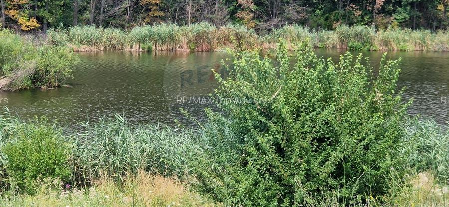 DE VANZARE Teren agricol 4500mp Moara Vlasiei - 4