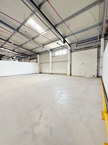 Pacurari - Metro, hala si birouri 1800mp, inchiriere expres - 7