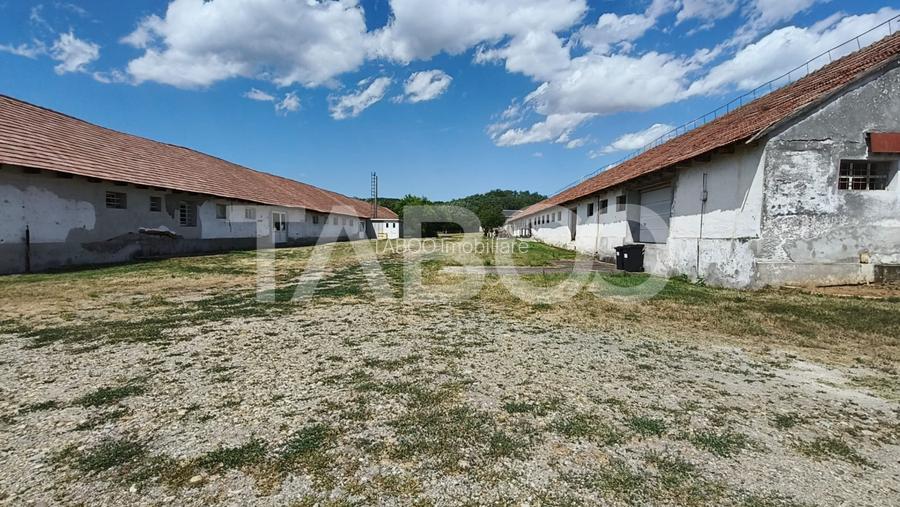 Platforma industriala cu cladiri de vanzare in Salistea de Alba - 25