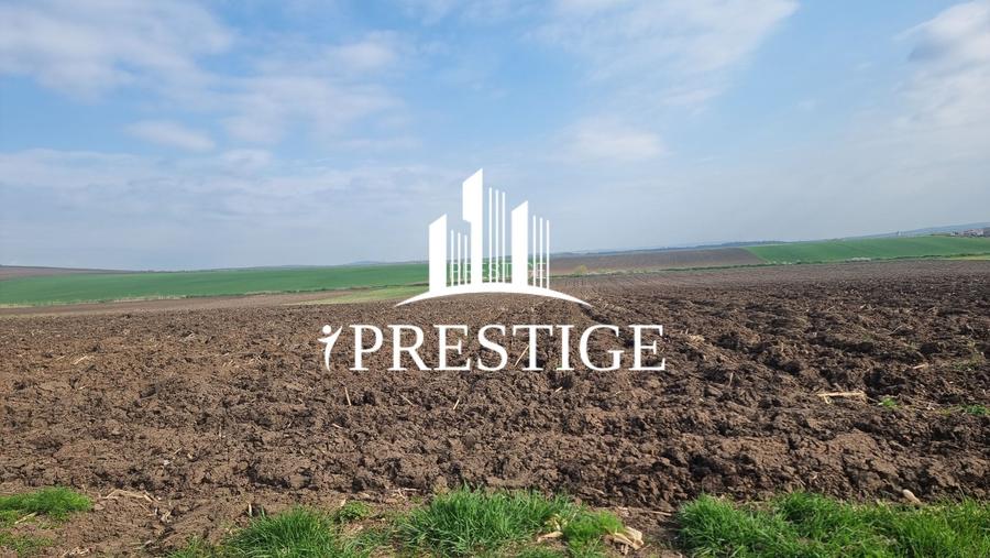 TEREN DE VÂNZARE ȘURA MICĂ 10.000 MP | 2 FRONTURI STRADALE, INVESTIȚIE - 14