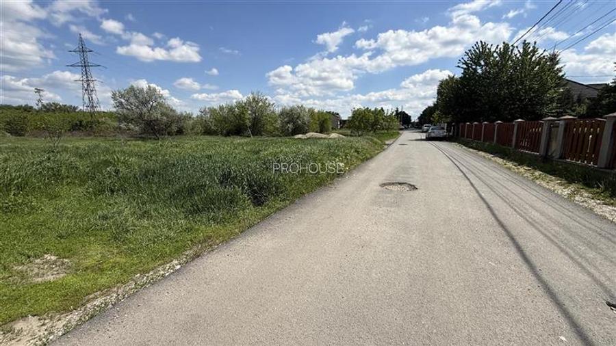 Gheraiesti - str. Arinilor - 1.000mp - 4