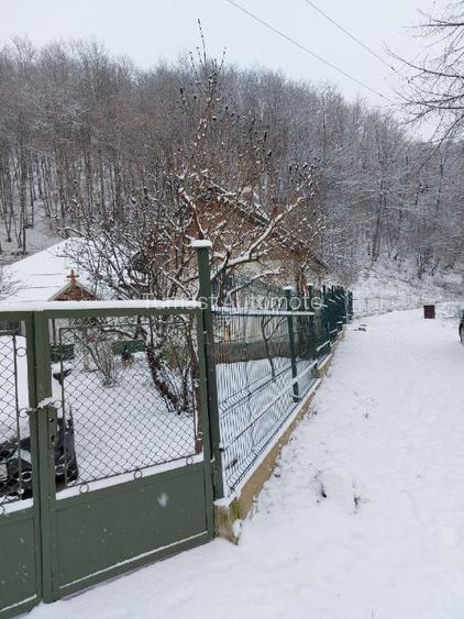 Casa, teren si padure de vanzare-40.000 mp, direct proprietar in Apuseni. - 7