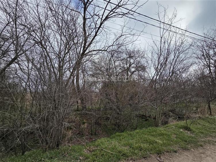 Teren intravilan cu gaze la strada Bujoreanca Dambovita S=9658mp D=49mp - 2
