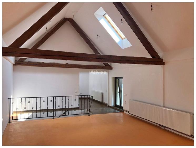 Spațiu de birouri sau productie Cristian - 3