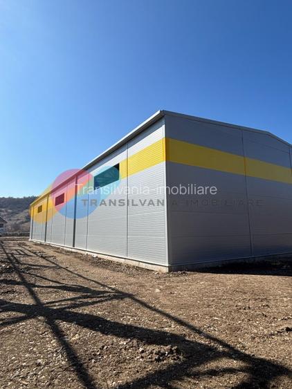 Hale de vânzare – 600 mp, open space, acces TIR, zona intrare Baciu - 4