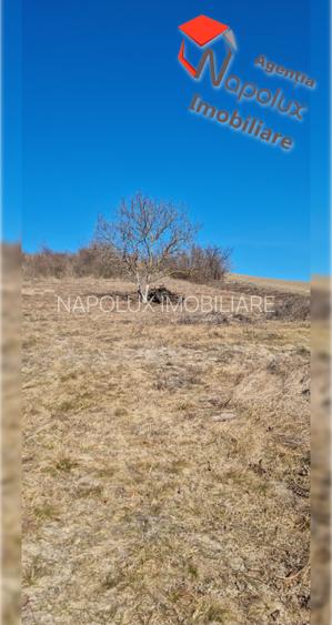 Exclusivitate! Teren de casa, Com. Cojocna - 6