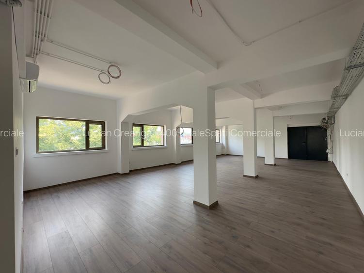 Spatii birouri, showroom, de la 100mp la 190mp, fata Carrefour Felicia - 16