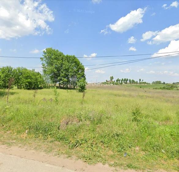 Teren intravilan 12828 mp  Cernica/Pantelimon langa autostrada- comision 0! - 4