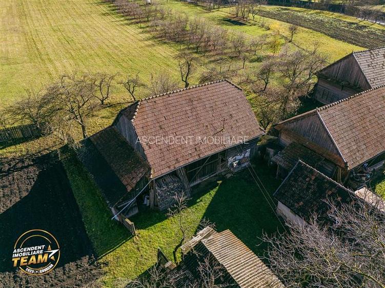 FILM! Casa si anexe, pe domeniu de 6.221mp,  livada pomi fructiferi, Lemnia, Cov - 18