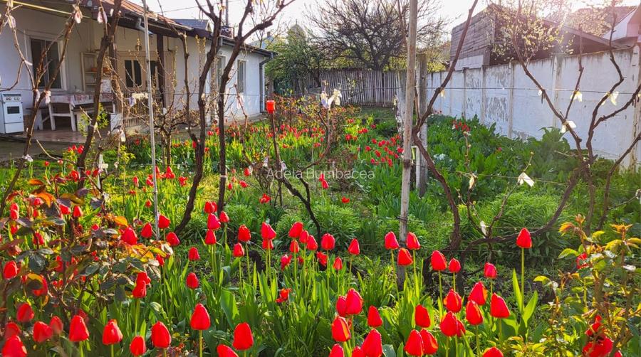 Casa cu teren 1400mp - 2