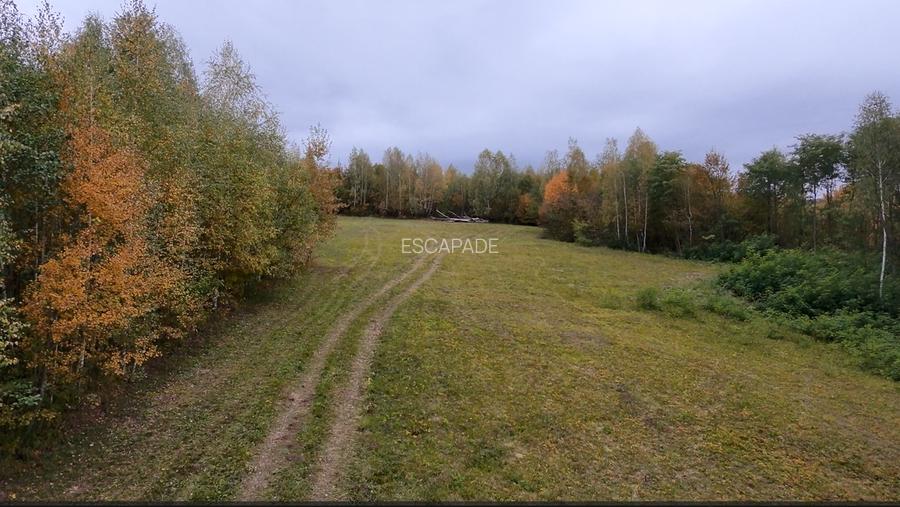 Teren ideal recreere/conectare cu natura/zona Fagaras/achitare in rate - 7