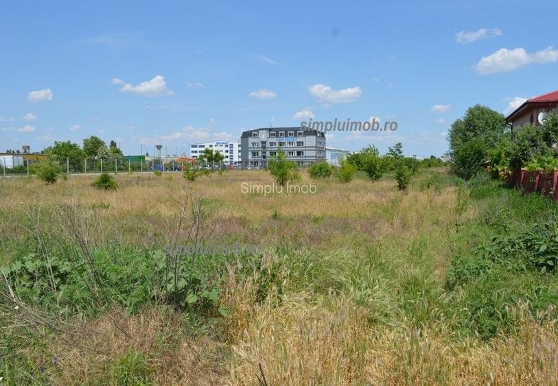 Terem 8000 mp Comuna Manolache ilfov - 2