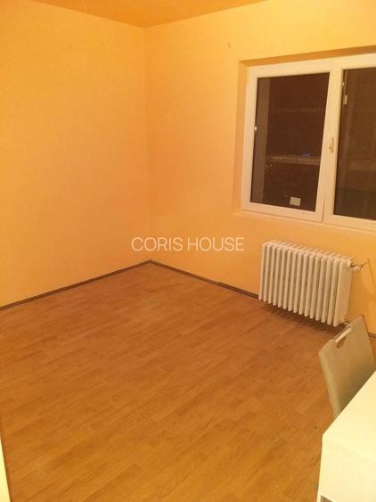 Piata Victoriei - Kiseleff -2 camere -vedere parc! - 6