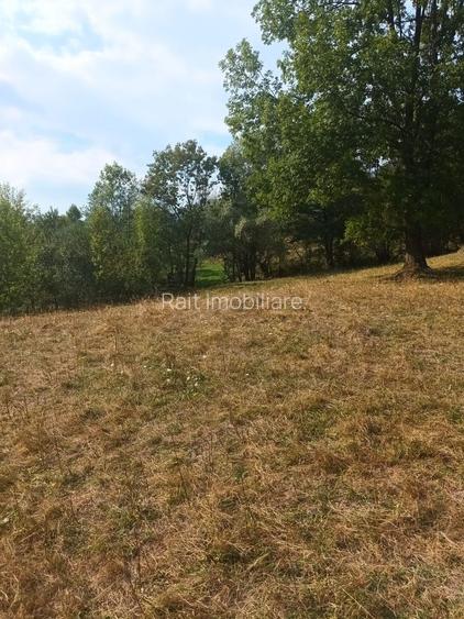 Teren de vanzare Coebeni-Turburea-Arges - 3