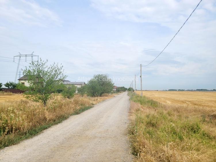 Teren 8.812mp- Magurele- Dumitrana, Autostrada 0 - 4