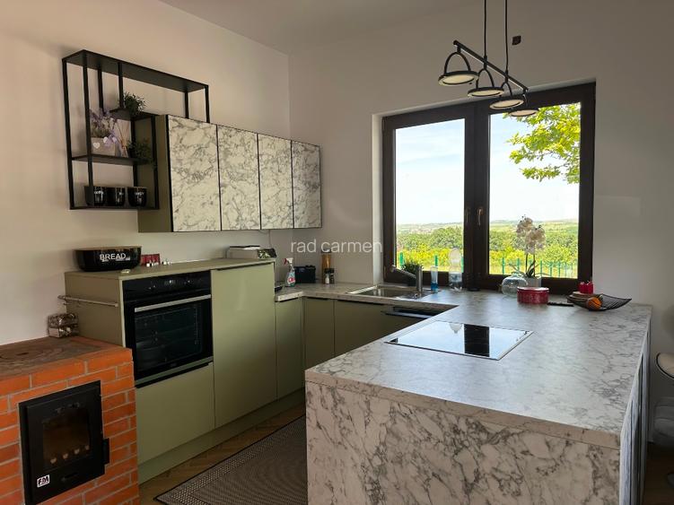 Proprietate 7680 mp Str Izvorului la liziera  Padurii  - 5