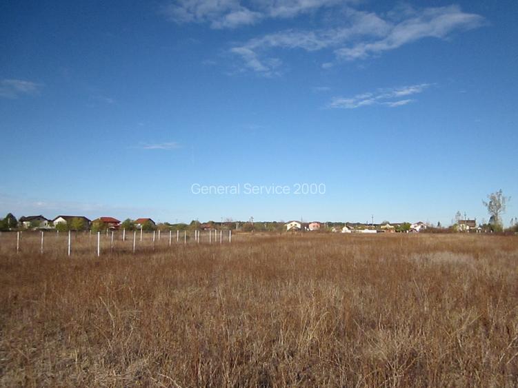 Domnesti-Teghes - 15