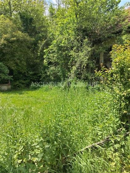 Teren de peste 5.000mp, front la DJ, Valcele, Brasov -- Covasna - 10