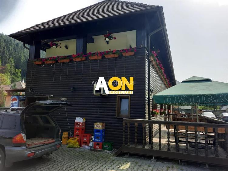 Pensiune in Muntii Apuseni 10 camere 1007 mp teren - 4