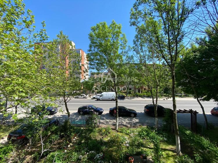 Apartament 4 camere | Etaj 1 | Bulevard principal | Alexandria - 9