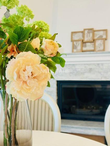 3 camere | de vanzare | casuta superba - Dumbravita - 11