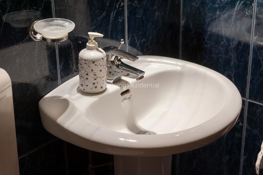 Apartament cu 3 camere de inchiriat in zona Colentina- Doamna Ghica - 29