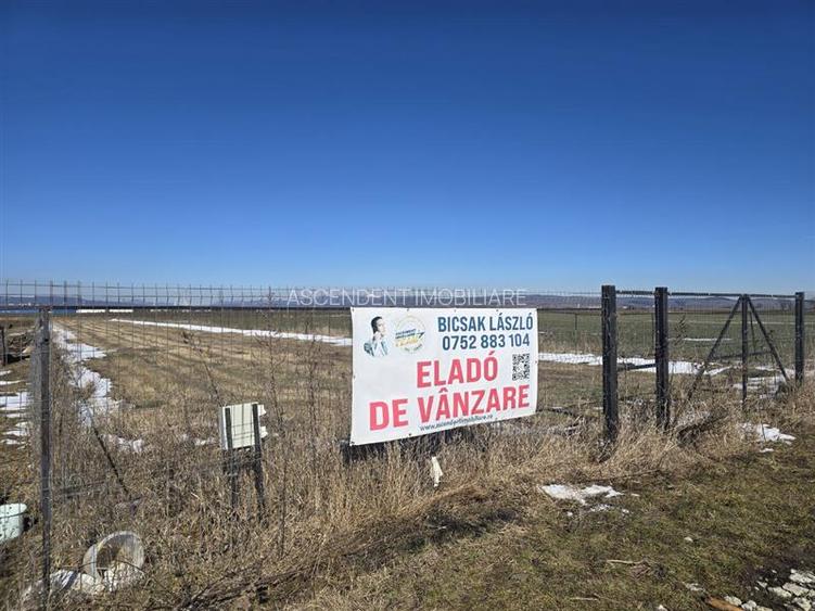 Liniste si aer curat in proximitatea Municipiului Sfantu Gheorghe - 4