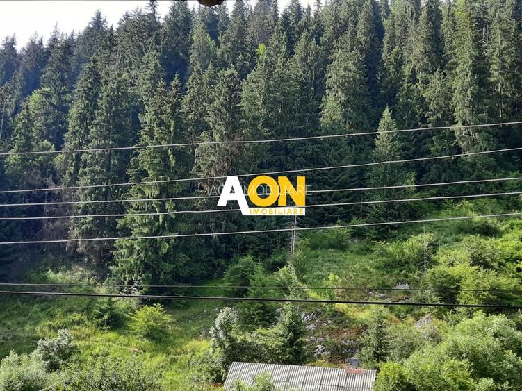 Pensiune in Muntii Apuseni 10 camere 1007 mp teren - 17