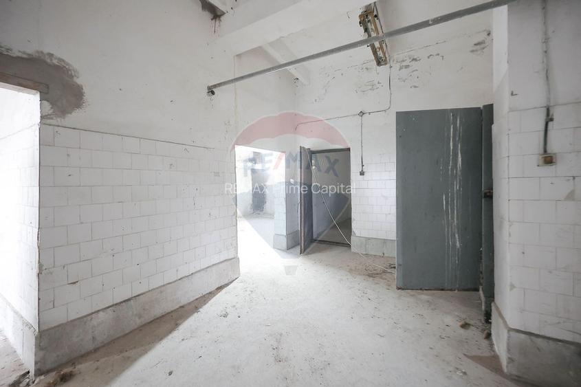 Teren 7500mp și construcții de vânzare, Tilecuș - 6