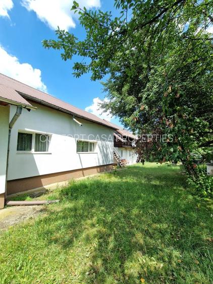 Balilesti - Stradal, casa spatioasa, 4600 mp teren intravilan - curte spatioasa - 4