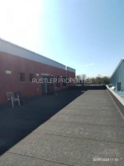 Hala de vanzare in Magurele - acces rapid si infrastructura moderna - 3