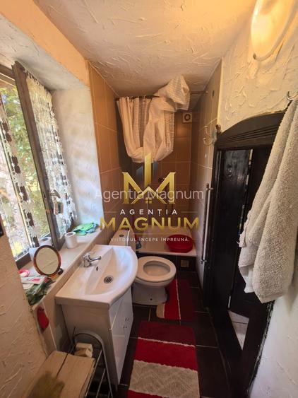 Casă P+M de vânzare | 450 mp teren | Centru Baia Sprie - 11