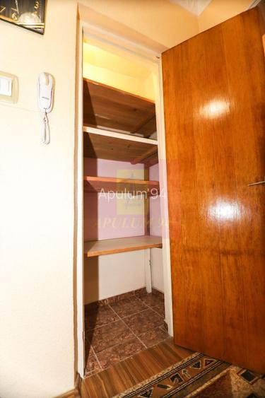 COMISION 0- Apartament  cu vedere panoramica catre Parcul Plumbuita. - 14
