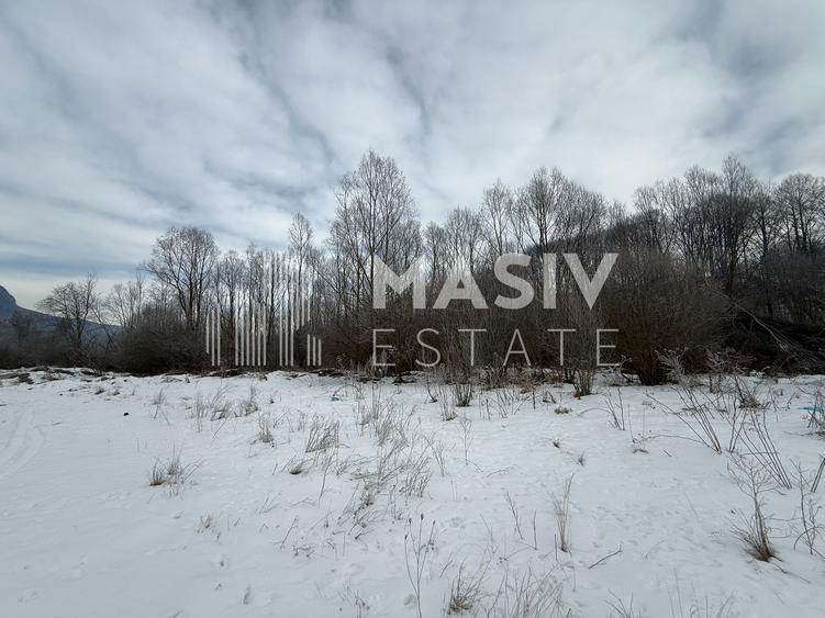 Teren intravilan 6.093 mp – Piatra Arsă, Bușteni, dezvoltare turistică premium!