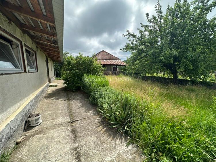 Amarasti Nemoiu in apropiere de Dragasani si Valcea - 7