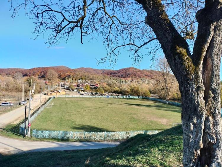 Iedera, Cricovul Dulce, casa de vanzare 90mp, teren 2450mp - 17