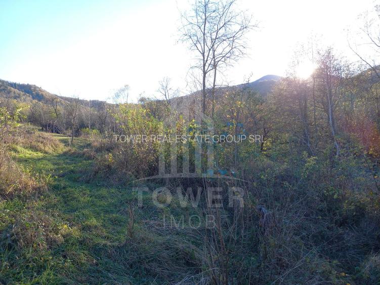 Teren intravilan Fântânele-Sibiu - 5