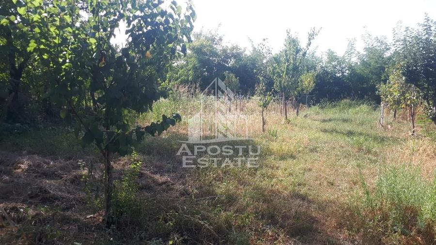 Casa individuala cu 3 camere in Curtici. - 7