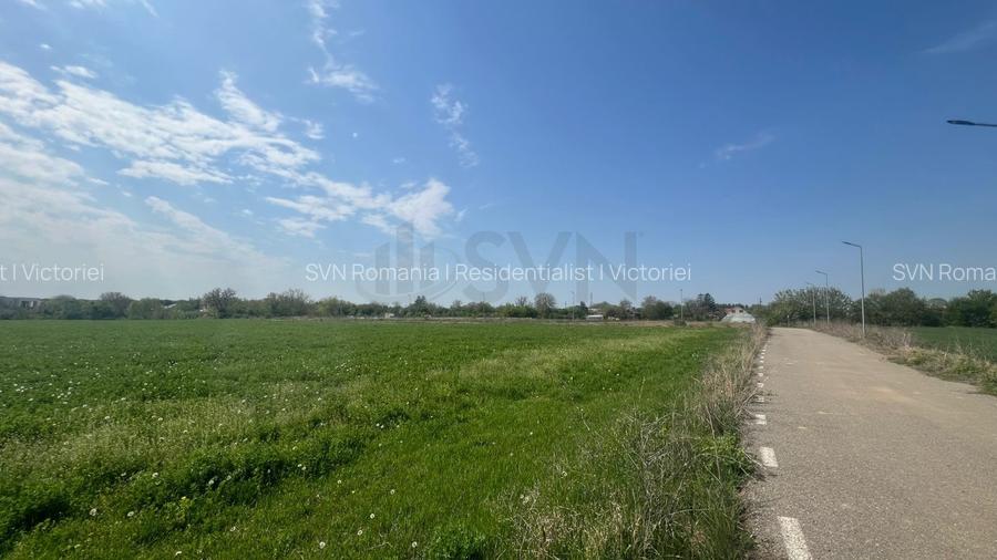 REL4000945 Teren de vanzare in Snagov - 6