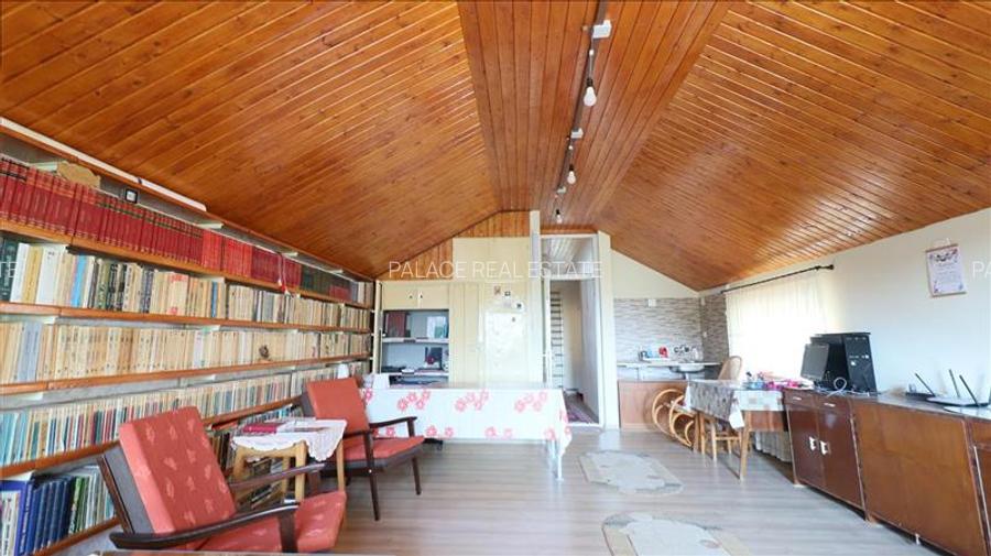 Casa deosebita in V.Lupului - 18