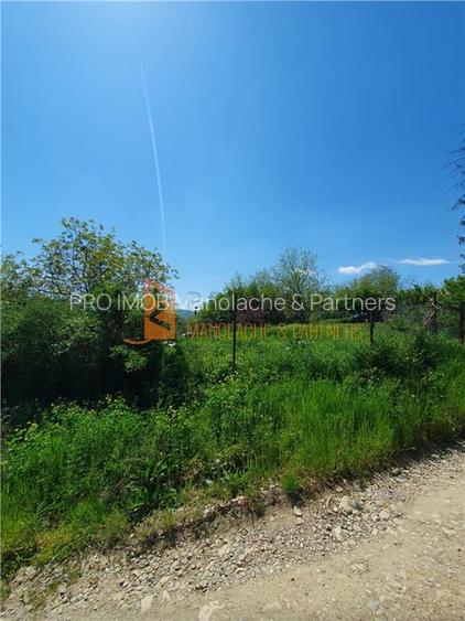 EXCLUSIVITATE! Casa cu teren zona Parscov - 27